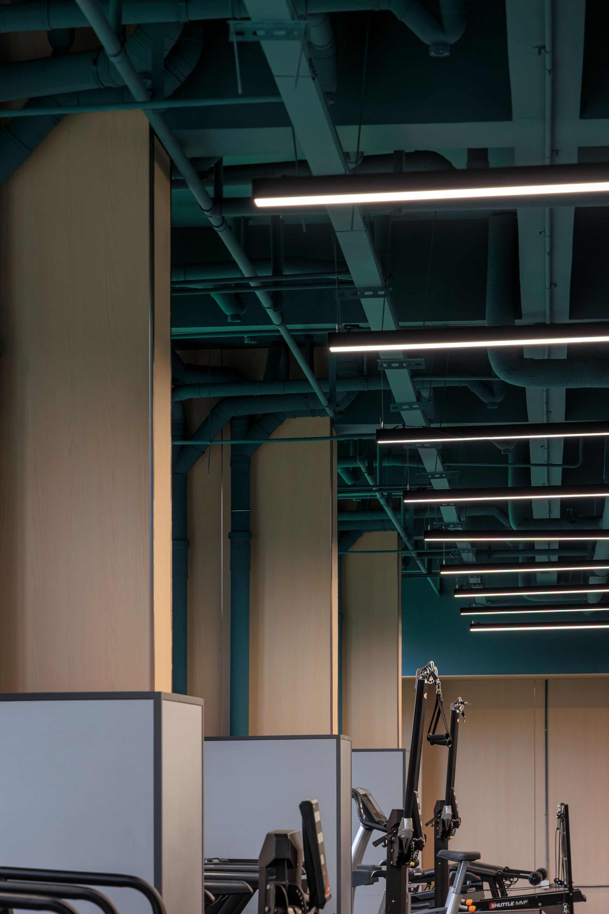 苏炳添T9体能中心