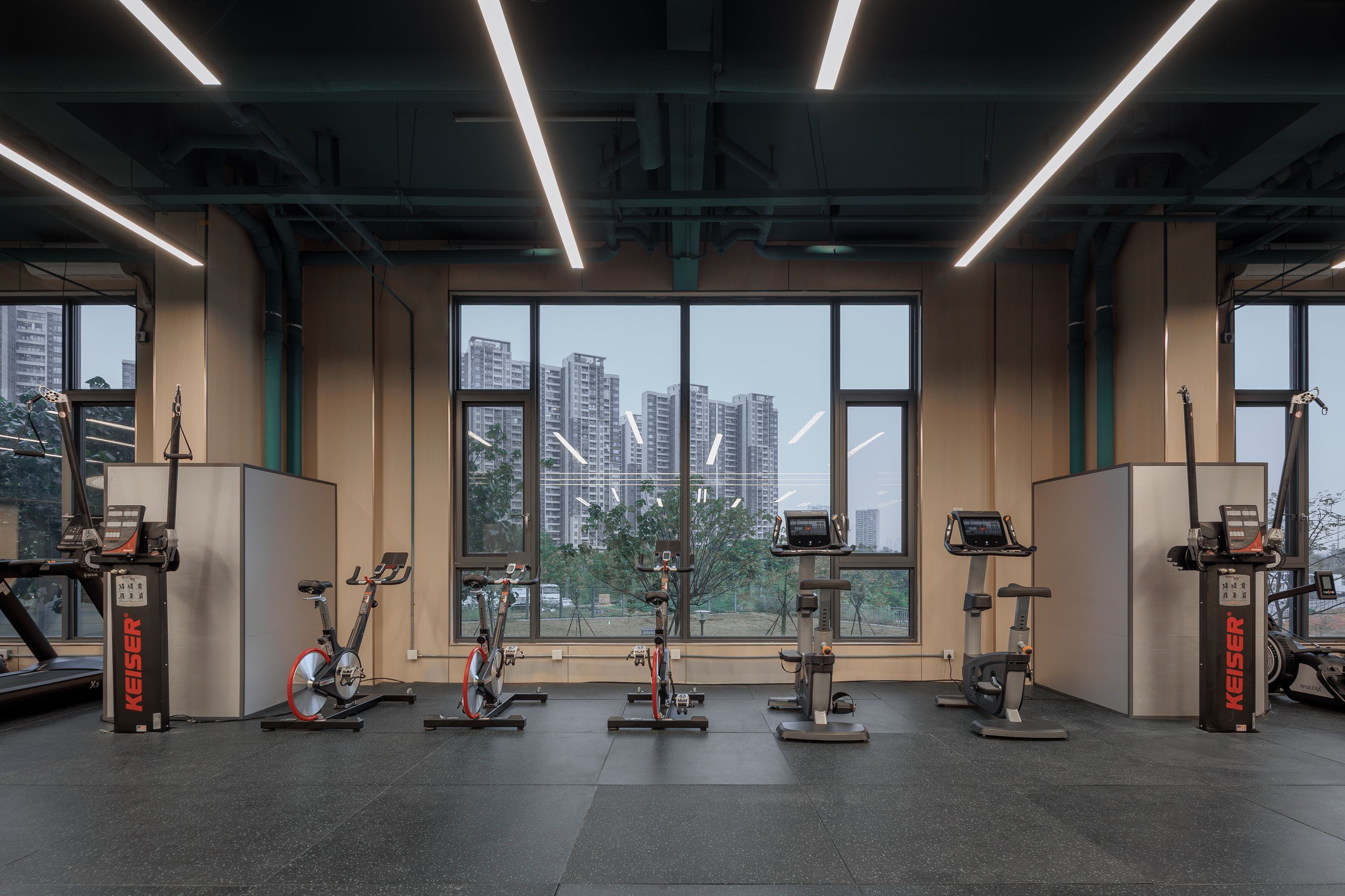 苏炳添T9体能中心